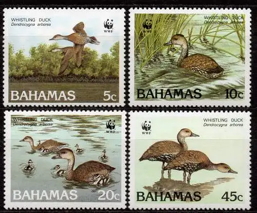 Bahamas, Mi-Nr. 672 - 675 **, kompl., Gänse WWF