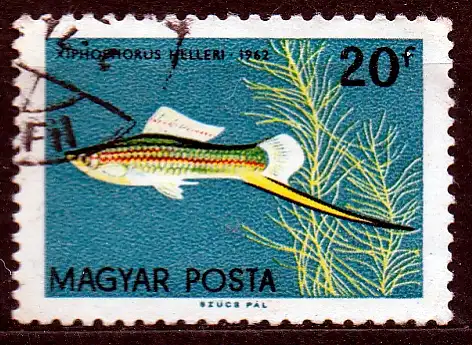 Ungarn, Mi-Nr. 1820 gest., Zierfisch (Grüner Schwertträger)