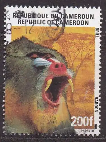 Kamerun, Mi-Nr. 1230 gest., Affen: Drill