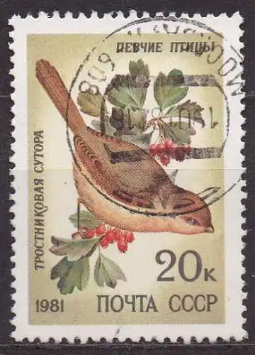 Sowjetunion, Mi-Nr. 5106 gest., Vogel