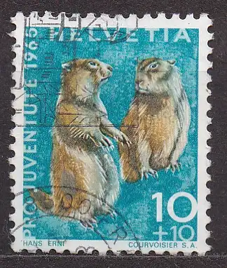 Schweiz, Mi-Nr. 827 gest., Pro Juventute 1965: Murmeltier