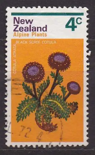 Neuseeland, Mi-Nr. 584 gest., Bergblume