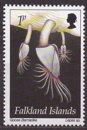 Falklandinseln, Mi-Nr. 608 **, Muschel