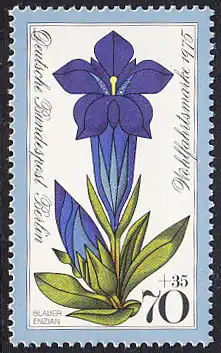 BERLIN 1975 Michel-Nummer 513 postfrisch EINZELMARKE - Alpenblumen: Stengelloser Enzian