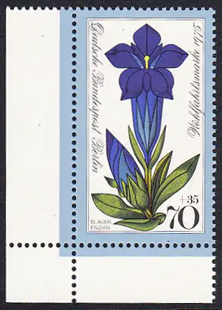 BERLIN 1975 Michel-Nummer 513 postfrisch EINZELMARKE ECKRAND unten links - Alpenblumen: Stengelloser Enzian