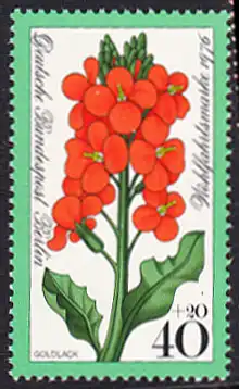 BERLIN 1976 Michel-Nummer 525 postfrisch EINZELMARKE - Gartenblumen: Goldlack