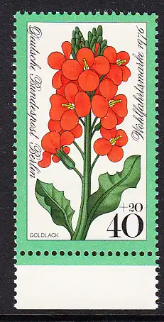 BERLIN 1976 Michel-Nummer 525 postfrisch EINZELMARKE RAND unten - Gartenblumen: Goldlack