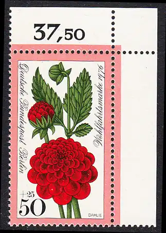 BERLIN 1976 Michel-Nummer 526 postfrisch EINZELMARKE ECKRAND oben rechts - Gartenblumen: Dahlie