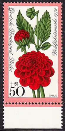 BERLIN 1976 Michel-Nummer 526 postfrisch EINZELMARKE RAND unten - Gartenblumen: Dahlie