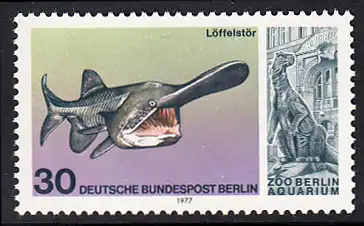 BERLIN 1977 Michel-Nummer 553 postfrisch EINZELMARKE - Wiedereröffnung des Aquariums im Berliner Zoo: Löffelstör