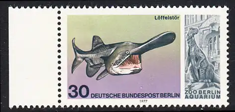 BERLIN 1977 Michel-Nummer 553 postfrisch EINZELMARKE RAND links - Wiedereröffnung des Aquariums im Berliner Zoo: Löffelstör