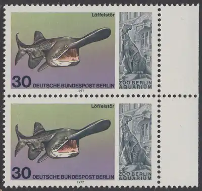BERLIN 1977 Michel-Nummer 553 postfrisch vert.PAAR RAND rechts - Wiedereröffnung des Aquariums im Berliner Zoo: Löffelstör