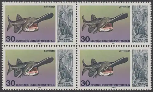 BERLIN 1977 Michel-Nummer 553 postfrisch BLOCK - Wiedereröffnung des Aquariums im Berliner Zoo: Löffelstör