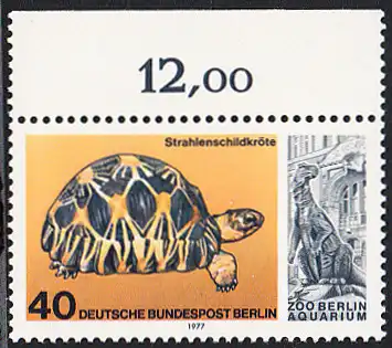 BERLIN 1977 Michel-Nummer 554 postfrisch EINZELMARKE RAND oben (b) - Wiedereröffnung des Aquariums im Berliner Zoo: Strahlenschildkröte