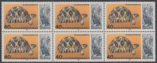 BERLIN 1977 Michel-Nummer 554 postfrisch horiz.BLOCK(6) - Wiedereröffnung des Aquariums im Berliner Zoo: Strahlenschildkröte
