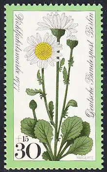 BERLIN 1977 Michel-Nummer 556 postfrisch EINZELMARKE - Wiesenblumen: Margerite