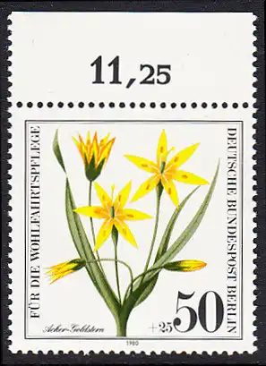 BERLIN 1980 Michel-Nummer 630 postfrisch EINZELMARKE RAND oben (a) - Gefährdete Ackerwildkräuter: Acker-Goldstern