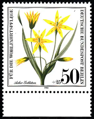 BERLIN 1980 Michel-Nummer 630 postfrisch EINZELMARKE RAND unten - Gefährdete Ackerwildkräuter: Acker-Goldstern