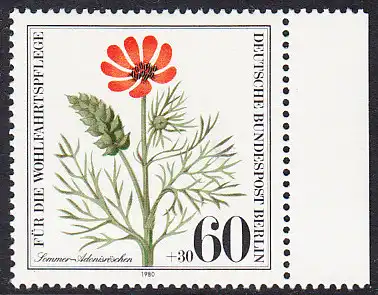 BERLIN 1980 Michel-Nummer 631 postfrisch EINZELMARKE RAND rechts - Gefährdete Ackerwildkräuter: Sommer-Adonisröschen