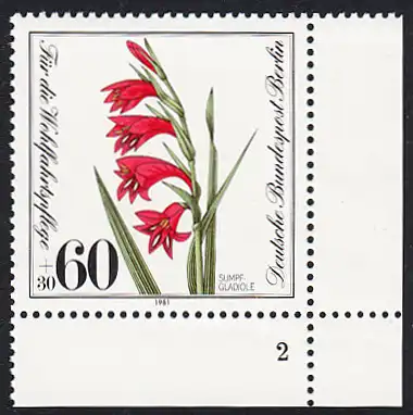 BERLIN 1981 Michel-Nummer 652 postfrisch EINZELMARKE ECKRAND unten rechts (FN) - Gefährdete Moor-, Sumpfwiesen- und Wasserpflanzen: Sumpfgladiole