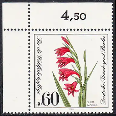BERLIN 1981 Michel-Nummer 652 postfrisch EINZELMARKE ECKRAND oben links - Gefährdete Moor-, Sumpfwiesen- und Wasserpflanzen: Sumpfgladiole