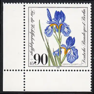 BERLIN 1981 Michel-Nummer 653 postfrisch EINZELMARKE ECKRAND unten links - Gefährdete Moor-, Sumpfwiesen- und Wasserpflanzen: Sibirische Schwertlilie