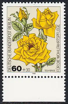 BERLIN 1982 Michel-Nummer 681 postfrisch EINZELMARKE RAND unten - Gartenrosen: Teehybride