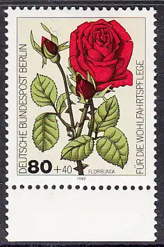 BERLIN 1982 Michel-Nummer 682 postfrisch EINZELMARKE RAND unten - Gartenrosen: Floribunda