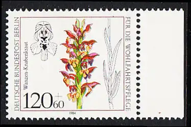 BERLIN 1984 Michel-Nummer 727 postfrisch EINZELMARKE RAND rechts - Orchideen: Wanzen-Knabenkraut