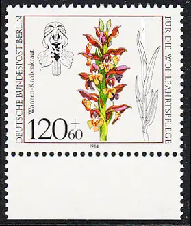 BERLIN 1984 Michel-Nummer 727 postfrisch EINZELMARKE RAND unten - Orchideen: Wanzen-Knabenkraut