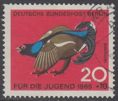 BERLIN 1965 Michel-Nummer 252 gestempelt EINZELMARKE (c)