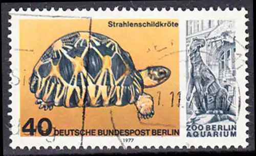BERLIN 1977 Michel-Nummer 554 gestempelt EINZELMARKE (b)
