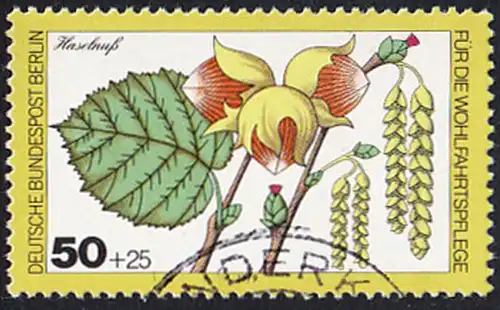 BERLIN 1979 Michel-Nummer 608 gestempelt EINZELMARKE (a)