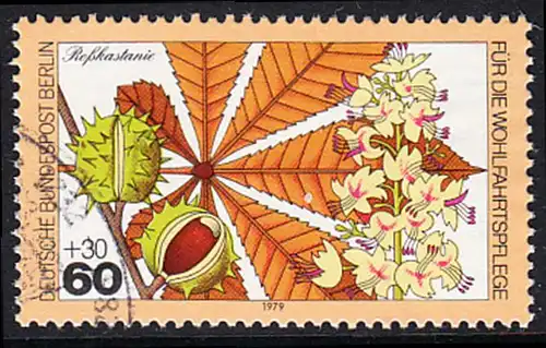 BERLIN 1979 Michel-Nummer 609 gestempelt EINZELMARKE (e)