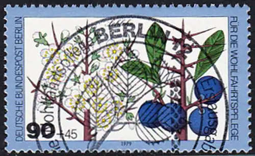 BERLIN 1979 Michel-Nummer 610 gestempelt EINZELMARKE (f)
