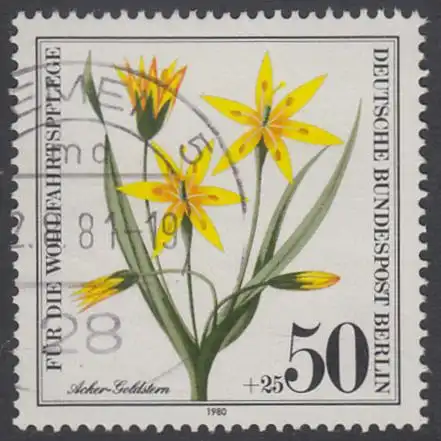 BERLIN 1980 Michel-Nummer 630 gestempelt EINZELMARKE (a)