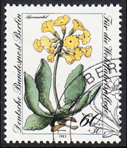 BERLIN 1983 Michel-Nummer 704 gestempelt EINZELMARKE (c)