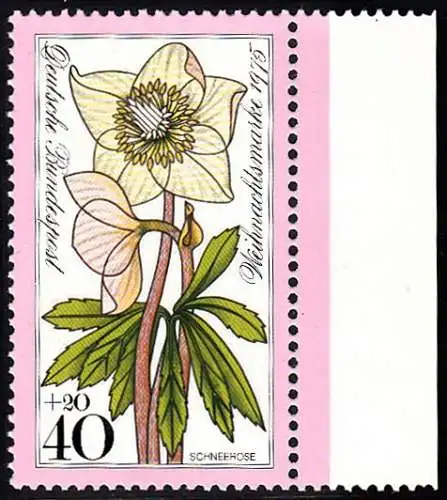 BUND 1975 Michel-Nummer 0874 postfrisch EINZELMARKE RAND rechts