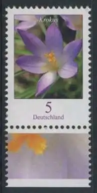 BUND 2005 Michel-Nummer 2480 postfrisch EINZELMARKE RAND unten (a)