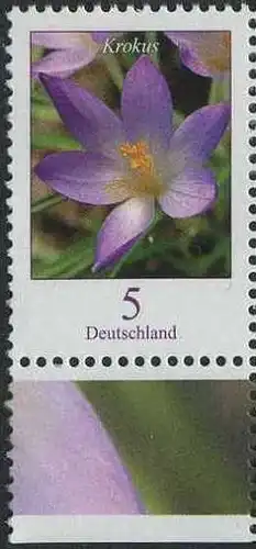 BUND 2005 Michel-Nummer 2480 postfrisch EINZELMARKE RAND unten (c)