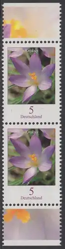 BUND 2005 Michel-Nummer 2480 postfrisch vert.PAAR RÄNDER oben/unten