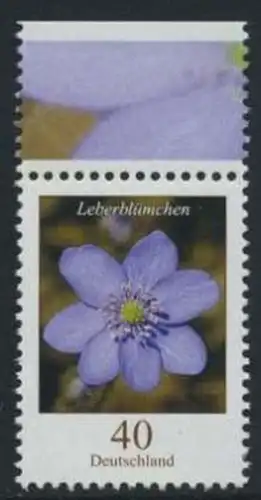 BUND 2005 Michel-Nummer 2485 postfrisch EINZELMARKE RAND oben (b)