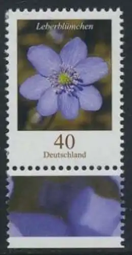 BUND 2005 Michel-Nummer 2485 postfrisch EINZELMARKE RAND unten (b)