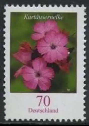 BUND 2006 Michel-Nummer 2529 postfrisch EINZELMARKE