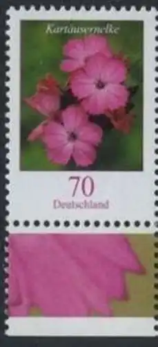 BUND 2006 Michel-Nummer 2529 postfrisch EINZELMARKE RAND unten (c)