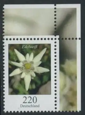 BUND 2006 Michel-Nummer 2530 postfrisch EINZELMARKE ECKRAND oben rechts