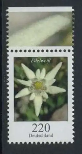 BUND 2006 Michel-Nummer 2530 postfrisch EINZELMARKE RAND oben (b)