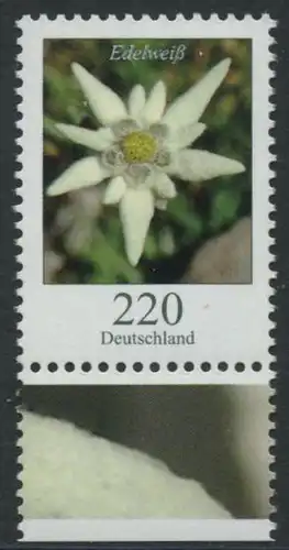 BUND 2006 Michel-Nummer 2530 postfrisch EINZELMARKE RAND unten (b)