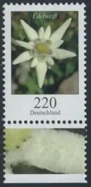 BUND 2006 Michel-Nummer 2530 postfrisch EINZELMARKE RAND unten (a)