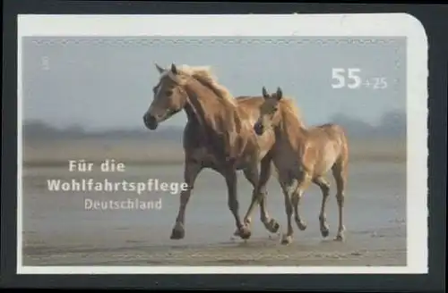 BUND 2007 Michel-Nummer 2635 postfrisch EINZELMARKE (g) -aus MH/selbstklebend-